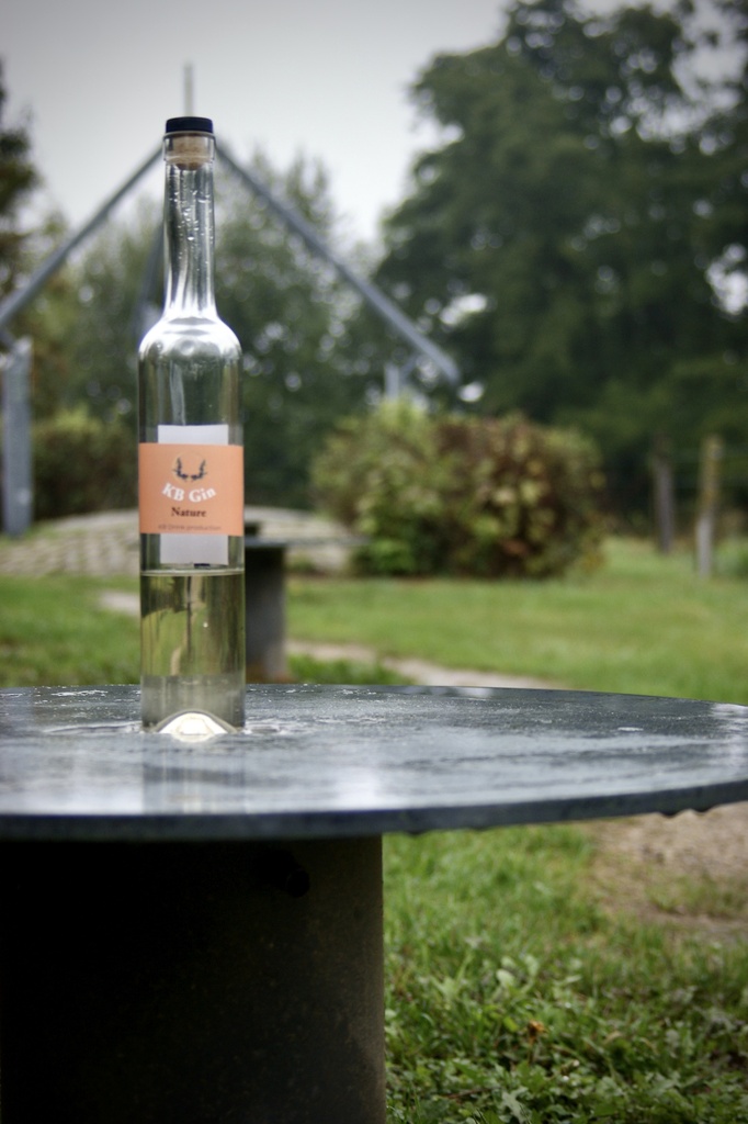 KB Gin - Bouteille de 50cl